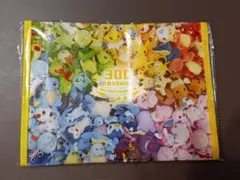 ポケモン　ALL STAR COLLECTION バッグ