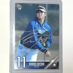 激レア】BBM2014 大谷翔平 スタジアムイベント限定カード 非売品