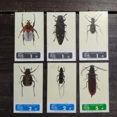 Item thumbnail for item 0021495a-866d-40a1-81e5-7a14e04169b8