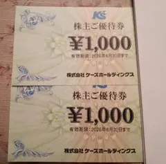 ケーズデンキ　株主優待　2000円分のサムネイル