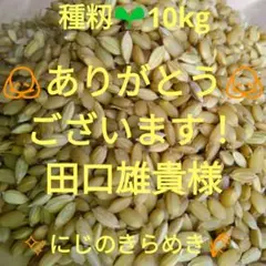 令和8年用 種もみ にじのきらめき ⭐消毒済み⭐10kg 令和8年用 種もみ にじのきらめき ⭐消毒済み⭐10kg - メルカリ
