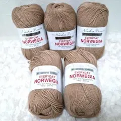毛糸 エブリデイ ノルウェージア Col.404 (100g玉巻) 5玉