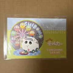 PUI PUI モルカー ポストカード サンシャインサカエ シロモ