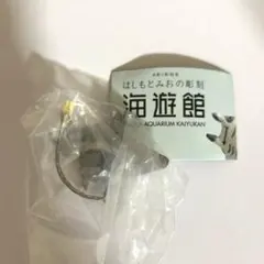 はしもとみお　海遊館イトマキエイ