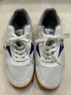 Mizuno 室内用シューズ ホワイト/ブルー