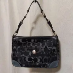 Item thumbnail for item e967d93c-4be9-4317-a084-e99f24ec059a