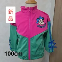 新品‼️ディズニー ミニー チマジロのサムネイル