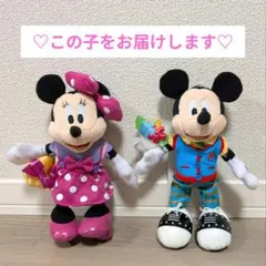 お顔厳選☆トゥーンタウン ぬいぐるみバッジ ミッキー&ミニー ディズニー