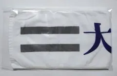 2025年最新】大園桃子マフラータオルの人気アイテム - メルカリ