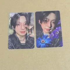 &TEAMトレカ FUMA フウマ Back to Life ROAR ver