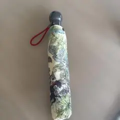 2025年最新】Yuko Higuchi 傘の人気アイテム - メルカリ