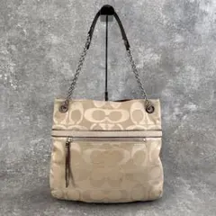 archive COACH tote bag chain canvas y2k