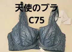 251250 新品　トリンプ　天使のブラ　 ブラジャー　　c75