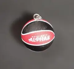 Bリーグ 越谷アルファーズ バスケットボール キーリング ボール キーホルダー