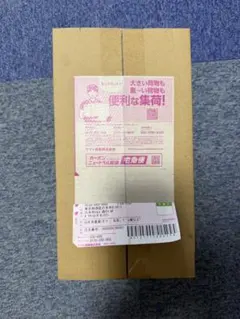 【新品未開封】ポケモンセンターフクオカ スペシャルBOX