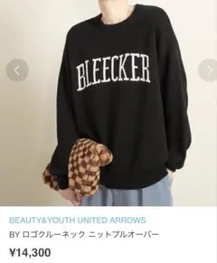 【人気デザイン✨】BEAUTY&YOUTH ロゴクルーネックニット 黒