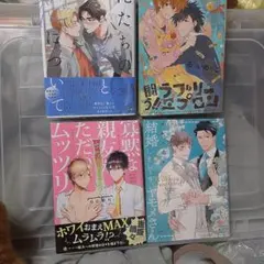 商業 BL 新刊 含 組み換え可能　俺たちの善と恋について　　みーち