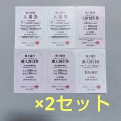 ②2セット 六甲山上レジャー施設 優待入場券 割引 阪急阪神 六甲山スノーパーク