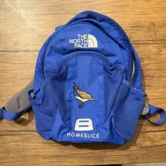 THE NORTH FACEキッズ 青リュック