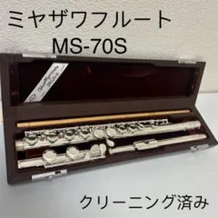 ミヤザワフルート　sterling silver ハードケース　ソフトケース付き フルート ケース」の人気商品一覧 | 安い商品を通販サイトから