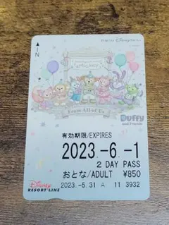 2025年最新】ディズニーリゾートラインフリー切符の人気アイテム