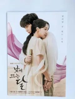 ★非売品★昼に昇る月◆報道資料◆キム・ヨンデ◆ピョ・イェジン◆韓国ドラマ