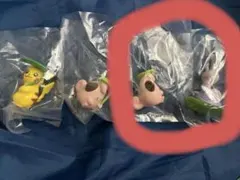 あちゃ様専用