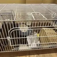 Item thumbnail for item 7d00a343-8f90-4d01-a97f-322341d1883b