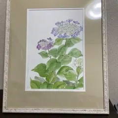 紫陽花 あじさい 色紙絵 日本画 水彩画 - メルカリ