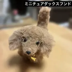 ミニチュアダックスフンド　ハンドメイド