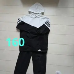 PUMA スエット上下セット　160