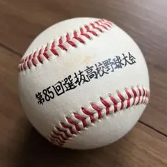 第85回選抜高校野球大会 記念ボール