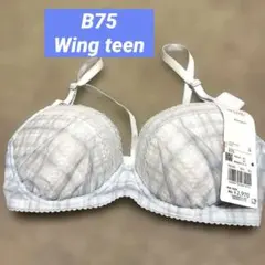 Wing Teen ブラジャー B75 チェック柄