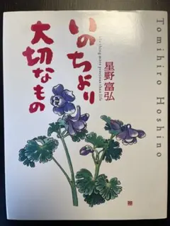 Item thumbnail for item b74618e7-6e0b-47b9-8c6b-91bf3cb8b91b