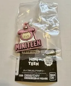 MINITEEN めじるしアクセサリー ガチャ ジョンハン