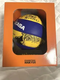 ハイキュー　マスコット　バレーボール ハイキュー!!✕MIKASAコラボレーション バレーボールスクイーズ