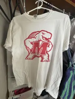 GILDAN カレッジロゴ Tシャツ ホワイト Mサイズ