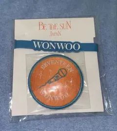 seventeen 消費期限 カプセルトイ イルコン 缶バッジ トレカ ウォヌ seventeen 消費期限 カプセルトイ イルコン 缶バッジ トレカ