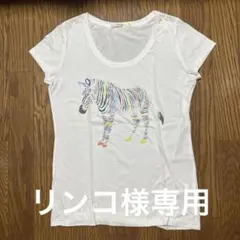 TOMORROWLAND ゼブラ柄 半袖Tシャツのサムネイル