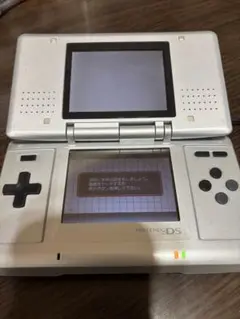ニンテンドーDS 本体 【充電器付き】