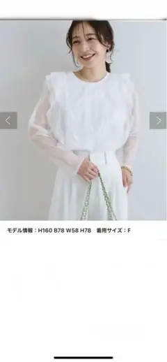 ラッフルチュールカットソー