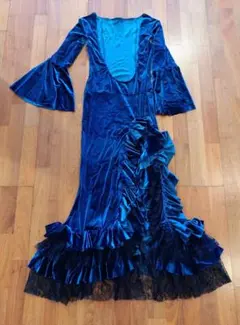 最終価格12/23迄☆バラディドレス☆ BANUROSAのベリーダンス衣装