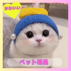 小型犬 1012ねこ帽子 被り物 猫 犬 コスプレ 　ネコ散歩 誕生日 写真撮影