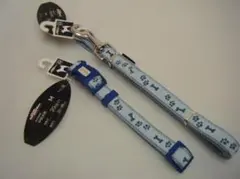 Item thumbnail for item 2256ef53-fa5c-41a5-a722-e821e675c372