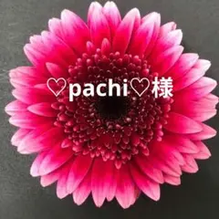 ガーベラ パスティーニ ペサロ ビットリア 切り花品種 - メルカリ