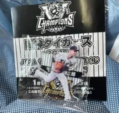 阪神タイガース 2025 JERA セ・リーグ優勝記念くじ 大竹耕太郎
