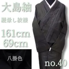 2025年最新】泥染大島紬の人気アイテム - メルカリ