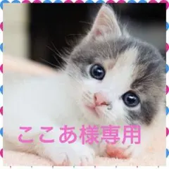 ここあ様専用ページ★iPhone16Pro