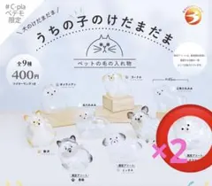 うちの子のけだまだま　犬　チワワ（白）2点セット