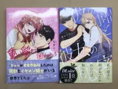 異世界トリップしたJKは騎士様の重い愛に囲われる／彼の事情と彼女の秘密